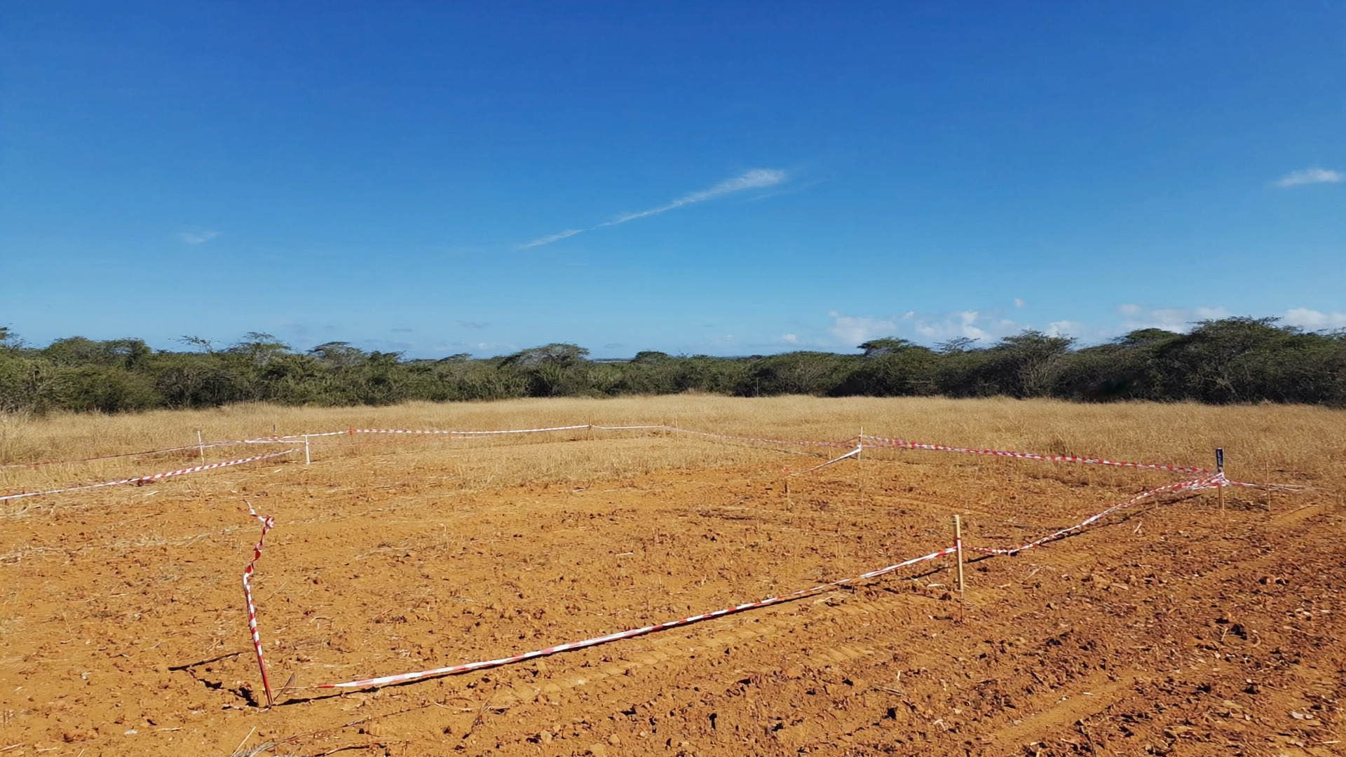 Vente terrain Korhogo CSAI agence immobilière premium Côte d'Ivoire